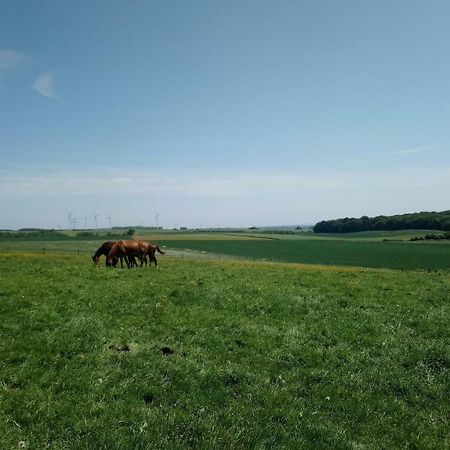 Jad Ranch Hotel Raucourt-et-Flaba Luaran gambar