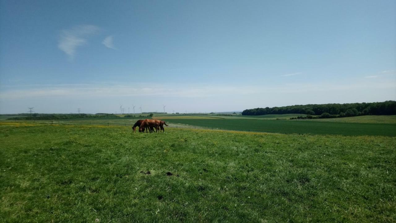 Jad Ranch Hotel Raucourt-et-Flaba Luaran gambar