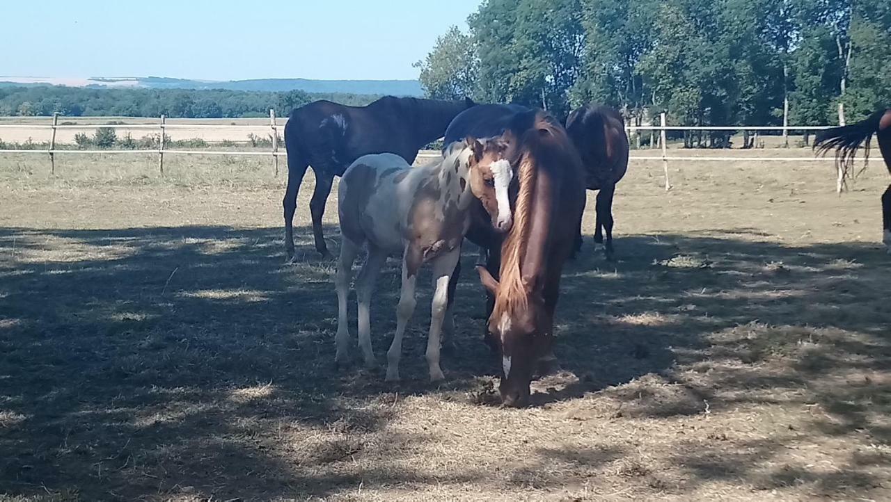 Jad Ranch Hotel Raucourt-et-Flaba Luaran gambar